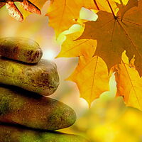 Meditation